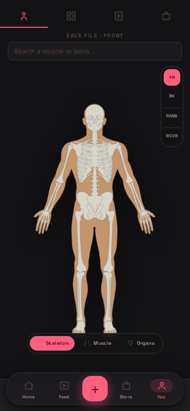 Living anatomy save-file view